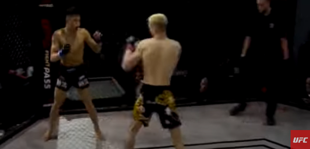 DWCS Season 7, Week 5 Recap: Brendson Ribeiro Shines with Thunderous Knockout