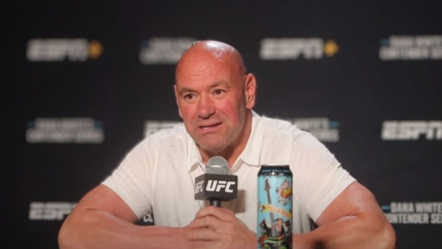 Dana white contender series 65 results