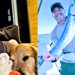 "Should Joe Rogan Be Fired? MMA Fans Divided Over Commentary Bias" "Should Joe Rogan Be Fired? MMA Fans Divided Over Commentary Bias" "Should Joe Rogan Be Fired? MMA Fans Divided Over Commentary Bias"