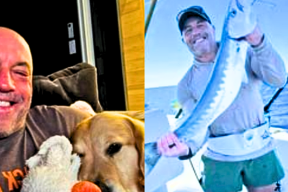 "Should Joe Rogan Be Fired? MMA Fans Divided Over Commentary Bias" "Should Joe Rogan Be Fired? MMA Fans Divided Over Commentary Bias" "Should Joe Rogan Be Fired? MMA Fans Divided Over Commentary Bias"