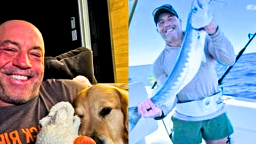 "Should Joe Rogan Be Fired? MMA Fans Divided Over Commentary Bias" "Should Joe Rogan Be Fired? MMA Fans Divided Over Commentary Bias" "Should Joe Rogan Be Fired? MMA Fans Divided Over Commentary Bias"