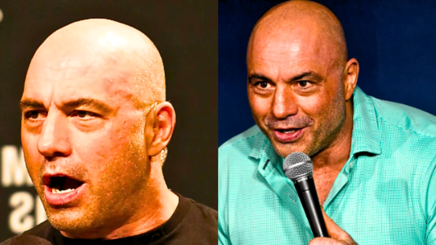 "Joe Rogan Critiques Conor McGregor in Explicit Rant"