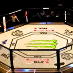 Tragic Losses in MMA: Exploring UFC Fighter Safety"