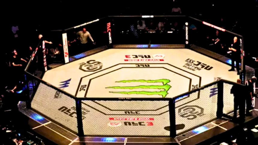 Tragic Losses in MMA: Exploring UFC Fighter Safety"