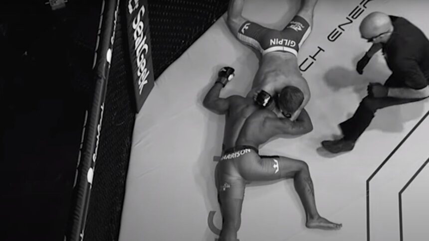 Ninja choke off a Sick high kick ends MMA contest