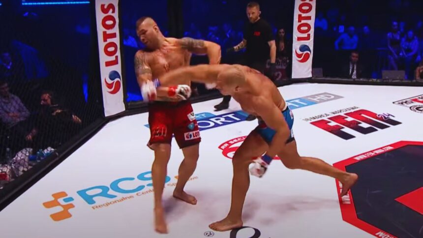 "MMA Shock: Disqualified for Brutal Ground-and-Pound in Boxing Match!"