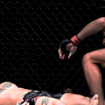 "Inside the Octagon: Understanding MMA Fatalities in the UFC"