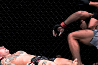 "Inside the Octagon: Understanding MMA Fatalities in the UFC"