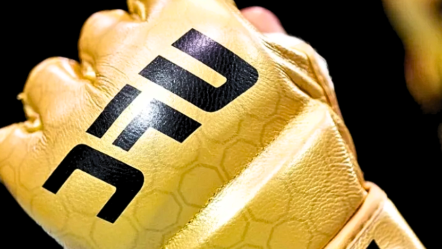 "UFC's New Gloves: Tackling Eye Pokes? Exploring Changes from Old to New"