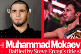 Steve Erceg Challenges Alexandre Pantoja for UFC 301 Title Shot Over Muhammad Mokaev