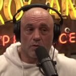 Tragedy in the Ring: Joe Rogan's Shock Over Boxer's Fatal End