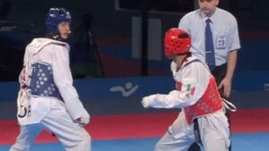 Taekwondo