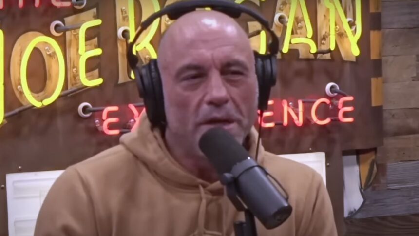Joe Rogan pays tribute to Nirvana: A Musical Revolution