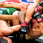 "Pantoja Victorious Over Erceg in UFC Clash"