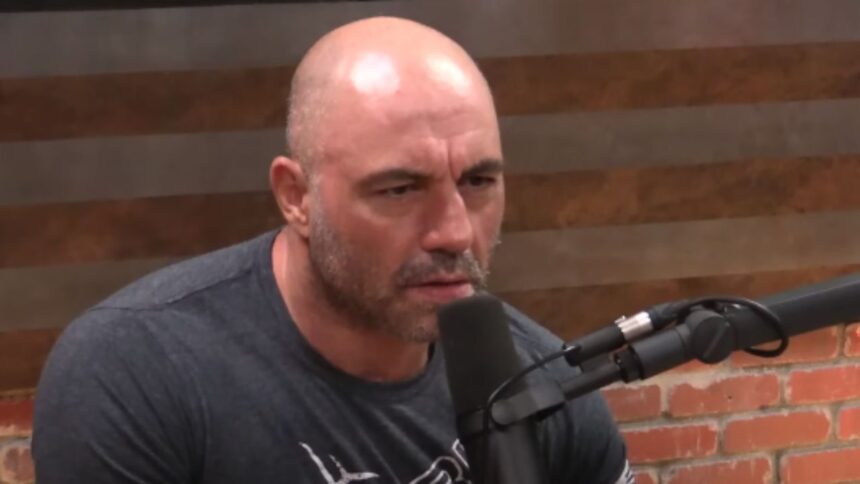 The Invisible Danger: Joe Rogan’s Personal Story Reigns Supreme in the MMA Safety Debate
