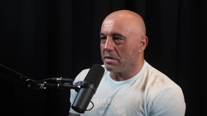 Joe Rogan Dropped a True Bombshell About Weaknesses in the Karate Arena