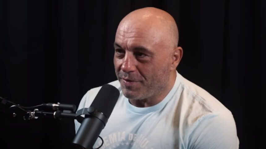 Pride FC vs. UFC: Joe Rogan Compares Rule Differences and Impact on MMA