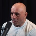 UFC's New Gloves Under Fire: Joe Rogan Leads Critique Amidst Fighter Backlash