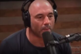 Joe Rogan Reveals John Mccain's Role In Stifling The Early Growth Of MMA