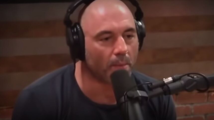 Joe Rogan Reveals John Mccain's Role In Stifling The Early Growth Of MMA