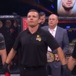 Bellator Champion Series 2024: A Year of Global Fight Showdowns
