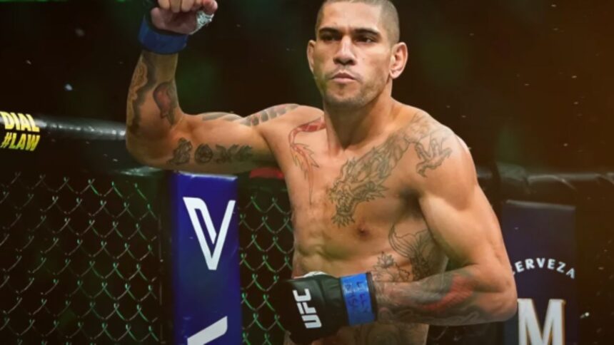 UFC's Avoidance of Pereira’s Toughest Fight Draws Chimaev’s Blunt Critique