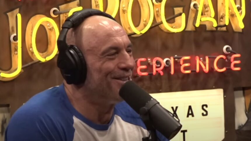Joe Rogan: 'UFC Gloves Still Not Good Enough,' Praises Wittman’s Gear