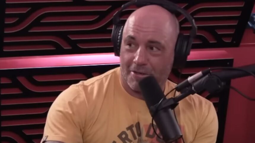 Joe Rogan Sets the Record Straight on RFK Jr. and Trump: 'I'm Not Endorsing Anyone!